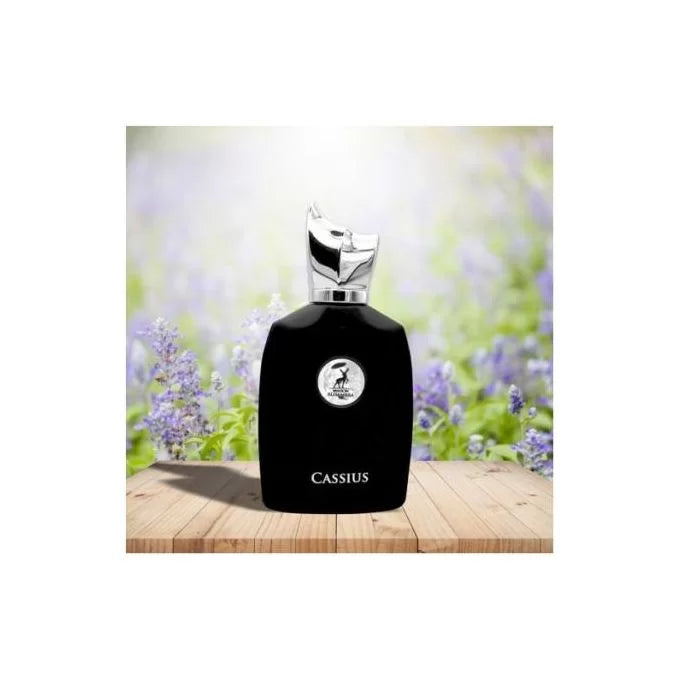Maison Alhambra Perfume Cassius Eau de Parfum 100 ml